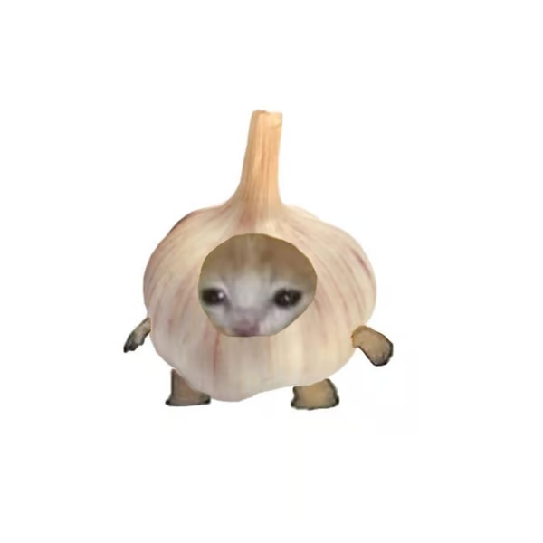 Garlic Cat waiting for the community to join